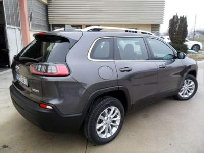 Jeep Cherokee 2.2 Mjt AWD Active Drive I Longitude Grigio usata San Pietro di Feletto