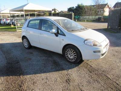 Fiat Punto 1.3 MJT II S&S 85 CV 5 porte ECO Easy Bianco usata MAGENTA