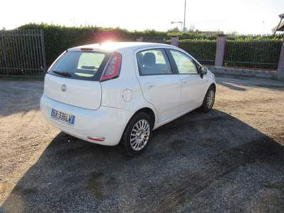 Fiat Punto 1.3 MJT II S&S 85 CV 5 porte ECO Easy Bianco usata MAGENTA