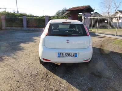 Fiat Punto 1.3 MJT II S&S 85 CV 5 porte ECO Easy Bianco usata MAGENTA