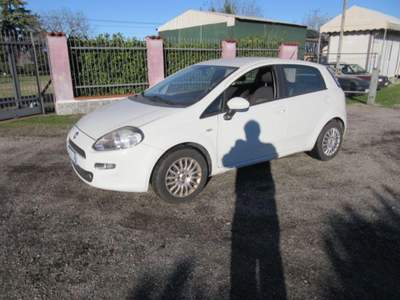 Fiat Punto 1.3 MJT II S&S 85 CV 5 porte ECO Easy Bianco usata MAGENTA