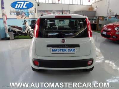Fiat Panda Panda 1.2 EasyPower Lounge                                                         Bianco usata Cerignola