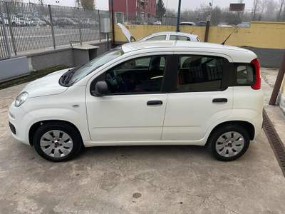 Fiat Panda 1.2 Pop Bianco usata Vittuone