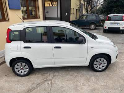 Fiat Panda 1.2 Pop Bianco usata Vittuone