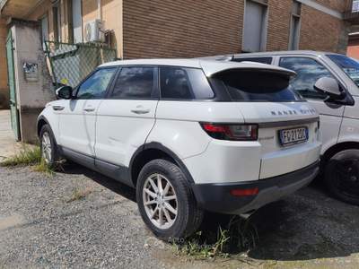 Land Rover Range Rover Evoque RR Evoque 2.0 TD4 150 CV 5p. Bianco usata Torino