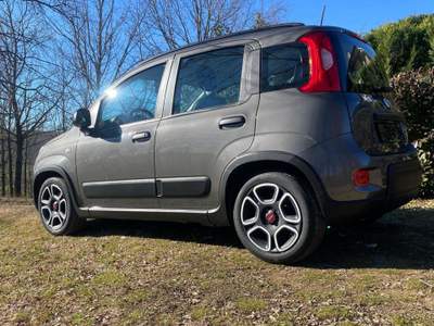 Fiat Panda 1.0 FireFly S&S Hybrid Grigio usata Moncalvo