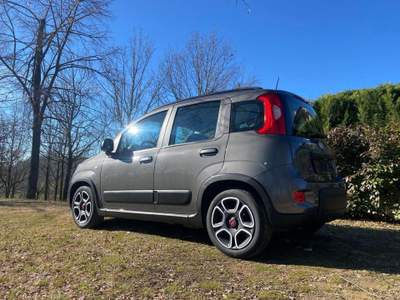 Fiat Panda 1.0 FireFly S&S Hybrid Grigio usata Moncalvo