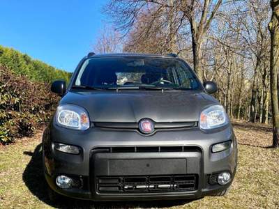 Fiat Panda 1.0 FireFly S&S Hybrid Grigio usata Moncalvo