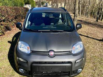 Fiat Panda 1.0 FireFly S&S Hybrid Grigio usata Moncalvo