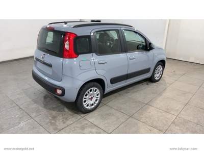 Fiat Panda Panda 1.2 Lounge                                                         Grigio usata Valsamoggia