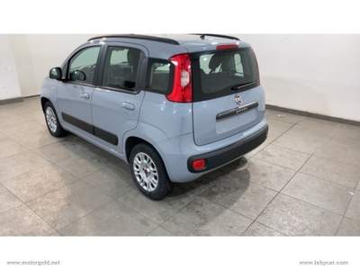 Fiat Panda Panda 1.2 Lounge                                                         Grigio usata Valsamoggia