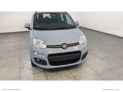 Fiat Panda Panda 1.2 Lounge                                                         Grigio usata Valsamoggia