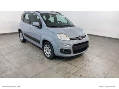 Fiat Panda Panda 1.2 Lounge                                                         Grigio usata Valsamoggia