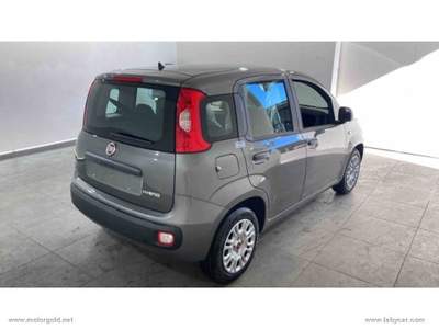 Fiat Panda Panda 1.0 FireFly S&S Hybrid                                                         Grigio usata Valsamoggia