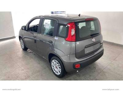 Fiat Panda Panda 1.0 FireFly S&S Hybrid                                                         Grigio usata Valsamoggia