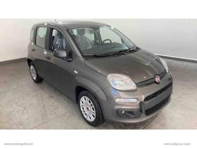 Fiat Panda Panda 1.0 FireFly S&S Hybrid                                                         Grigio usata Valsamoggia