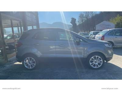 Ford EcoSport EcoSport 1.0 EcoBoost 125 CV S&S Titanium                                                         Argento usata Valsamoggia