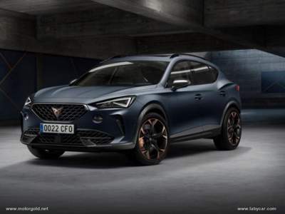 Cupra Formentor Formentor 1.5 TSI                                                         Grigio usata Valsamoggia