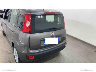 Fiat Panda Panda 1.2 Easy                                                         Grigio usata Valsamoggia