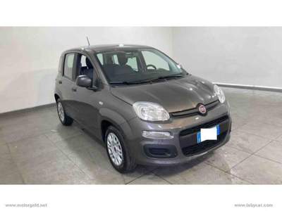 Fiat Panda Panda 1.2 Easy                                                         Grigio usata Valsamoggia