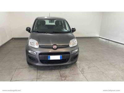 Fiat Panda Panda 1.2 Easy                                                         Grigio usata Valsamoggia