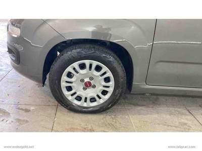 Fiat Panda Panda 1.2 Easy                                                         Grigio usata Valsamoggia