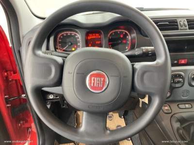 Fiat Panda Panda 1.0 FireFly S&S Hybrid                                                         Grigio usata Valsamoggia