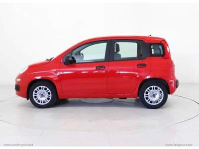 Fiat Panda Panda 1.0 FireFly S&S Hybrid                                                         Grigio usata Valsamoggia