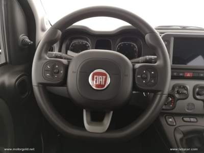 Fiat Panda Panda 1.0 FireFly S&S Hybrid City Life                                                         Bianco usata Valsamoggia