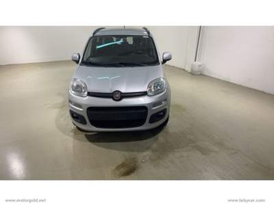 Fiat Panda Panda 1.2 Lounge                                                         Grigio usata Valsamoggia
