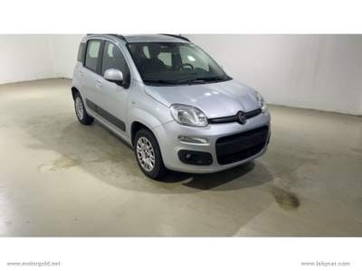 Fiat Panda Panda 1.2 Lounge                                                         Grigio usata Valsamoggia