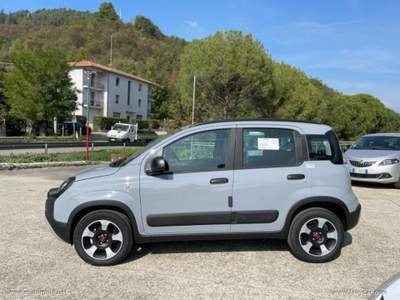 Fiat Panda Panda 1.0 FireFly S&S Hybrid City Cross                                                         Grigio usata Valsamoggia