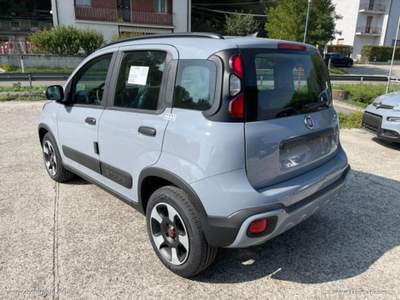 Fiat Panda Panda 1.0 FireFly S&S Hybrid City Cross                                                         Grigio usata Valsamoggia