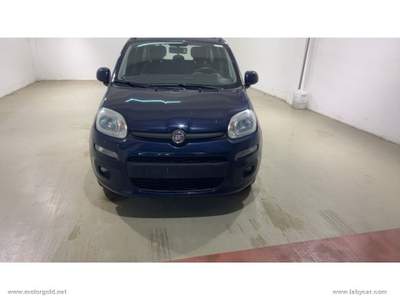 Fiat Panda Panda 1.2 Lounge                                                         Blu/Azzurro usata Valsamoggia