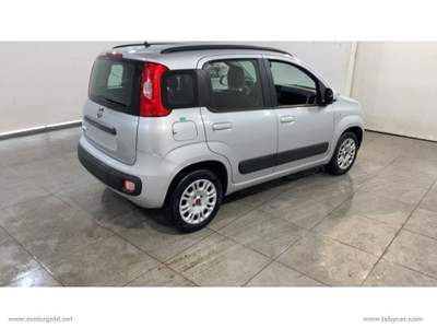 Fiat Panda Panda 1.2 Lounge                                                         Argento usata Valsamoggia