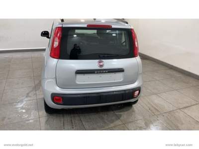 Fiat Panda Panda 1.2 Lounge                                                         Argento usata Valsamoggia