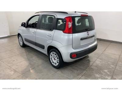 Fiat Panda Panda 1.2 Lounge                                                         Argento usata Valsamoggia