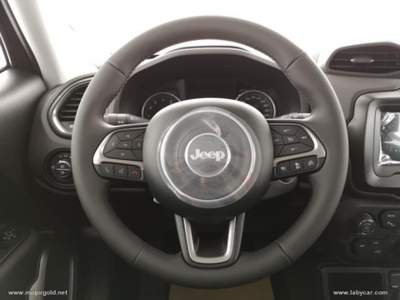 Jeep Renegade Renegade 1.0 T3 Limited                                                         Grigio usata Valsamoggia