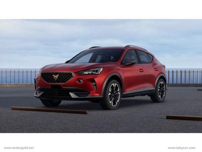 Cupra Formentor Formentor 2.0 TDI                                                         Bianco usata Valsamoggia