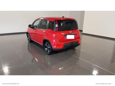 Fiat Panda Panda 1.0 FireFly S&S Hybrid Sport                                                         Rosso usata Valsamoggia