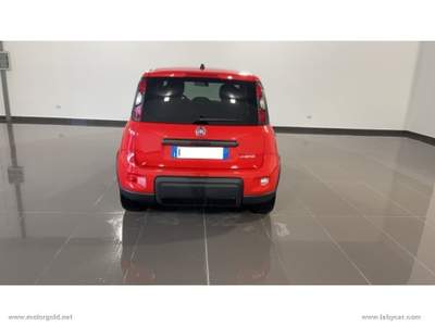 Fiat Panda Panda 1.0 FireFly S&S Hybrid Sport                                                         Rosso usata Valsamoggia
