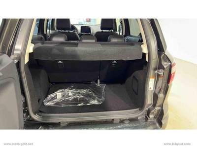 Ford EcoSport EcoSport 1.0 EcoBoost 125 CV S&S ST-Line                                                         Grigio usata Valsamoggia