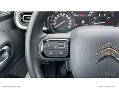 Citroen C3 C3 BlueHDi 100 S&S Shine                                                         Grigio usata Valsamoggia