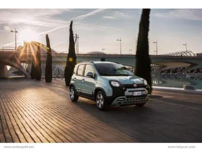 Fiat Panda Panda Cross 1.0 FireFly S&S Hybrid                                                         Bianco usata Valsamoggia