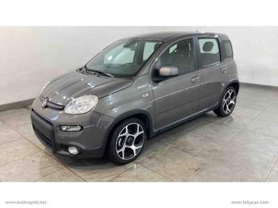 Fiat Panda Panda 1.0 FireFly S&S Hybrid Sport                                                         Grigio usata Valsamoggia