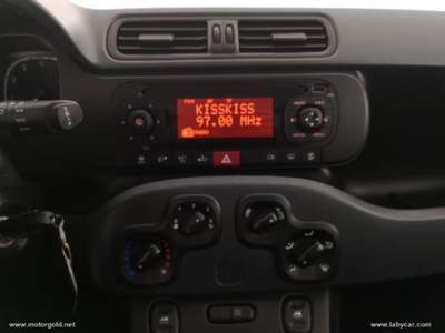 Fiat Panda Panda 1.0 FireFly S&S Hybrid                                                         Bianco usata Valsamoggia
