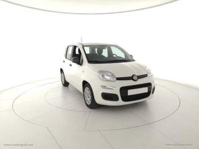 Fiat Panda Panda 1.0 FireFly S&S Hybrid                                                         Bianco usata Valsamoggia