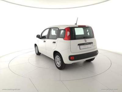 Fiat Panda Panda 1.0 FireFly S&S Hybrid                                                         Bianco usata Valsamoggia