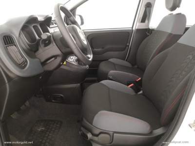 Fiat Panda Panda 1.0 FireFly S&S Hybrid                                                         Bianco usata Valsamoggia