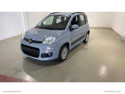 Fiat Panda Panda 1.2 Lounge                                                         Grigio usata Valsamoggia